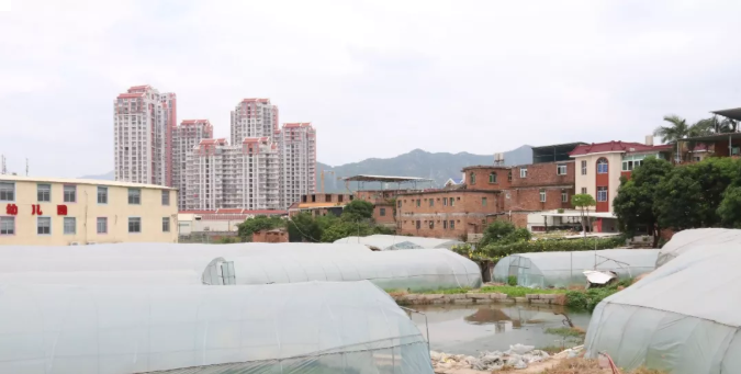 泉州鲤城、丰泽两大重点改造建设项目最新进展,片区再传好消息!——九房网 泉州鲤城、丰泽两大重点改造建设项目最新进展,片区再传好消息!——九房网