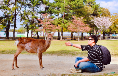 据说每年有1500多万人都去这里,只为看一眼它——九房网 据说每年有1500多万人都去这里,只为看一眼它——九房网