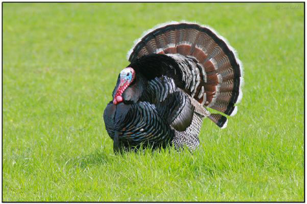 据说每年有1500多万人都去这里,只为看一眼它——九房网 据说每年有1500多万人都去这里,只为看一眼它——九房网