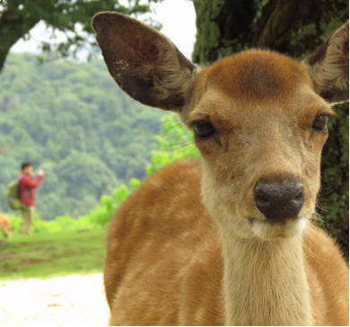 据说每年有1500多万人都去这里,只为看一眼它——九房网 据说每年有1500多万人都去这里,只为看一眼它——九房网