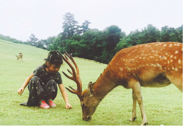 据说每年有1500多万人都去这里,只为看一眼它——九房网 据说每年有1500多万人都去这里,只为看一眼它——九房网