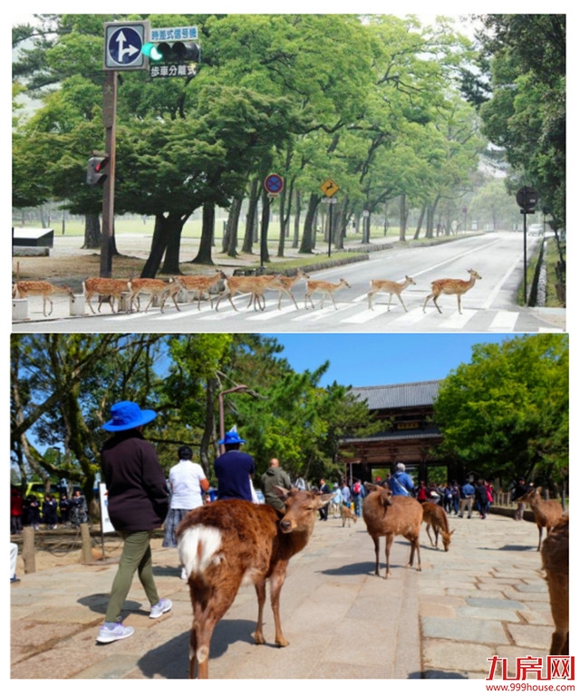 据说每年有1500多万人都去这里,只为看一眼它——九房网 据说每年有1500多万人都去这里,只为看一眼它——九房网