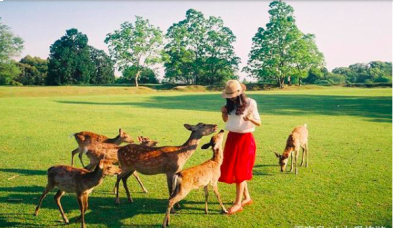 据说每年有1500多万人都去这里,只为看一眼它——九房网 据说每年有1500多万人都去这里,只为看一眼它——九房网