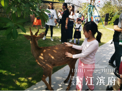 内部绝密!《双11爆款清单》出炉,泉州人拿去照着买! ——九房网 内部绝密!《双11爆款清单》出炉,泉州人拿去照着买! ——九房网