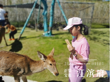 内部绝密!《双11爆款清单》出炉,泉州人拿去照着买! ——九房网 内部绝密!《双11爆款清单》出炉,泉州人拿去照着买! ——九房网