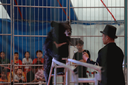 内部绝密!《双11爆款清单》出炉,泉州人拿去照着买! ——九房网 内部绝密!《双11爆款清单》出炉,泉州人拿去照着买! ——九房网