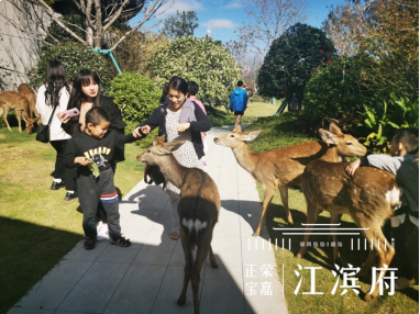 内部绝密!《双11爆款清单》出炉,泉州人拿去照着买! ——九房网 内部绝密!《双11爆款清单》出炉,泉州人拿去照着买! ——九房网