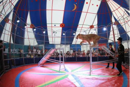 内部绝密!《双11爆款清单》出炉,泉州人拿去照着买! ——九房网 内部绝密!《双11爆款清单》出炉,泉州人拿去照着买! ——九房网