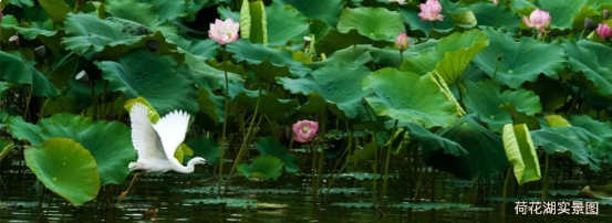 昆明嘉丽泽恒大·养生谷|滇中空港芯,北拓中轴上的投资新高地! ——九房网 昆明嘉丽泽恒大·养生谷|滇中空港芯,北拓中轴上的投资新高地! ——九房网
