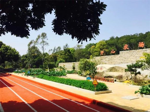 沸腾！重磅利好即将变现！泉州此区域爆发挡不住了！——九房网