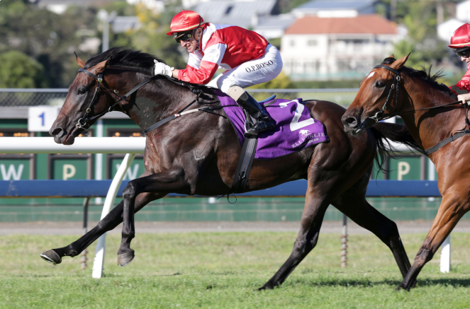 踏马滇池?百万名马乘骑等你来体验——九房网 踏马滇池?百万名马乘骑等你来体验——九房网