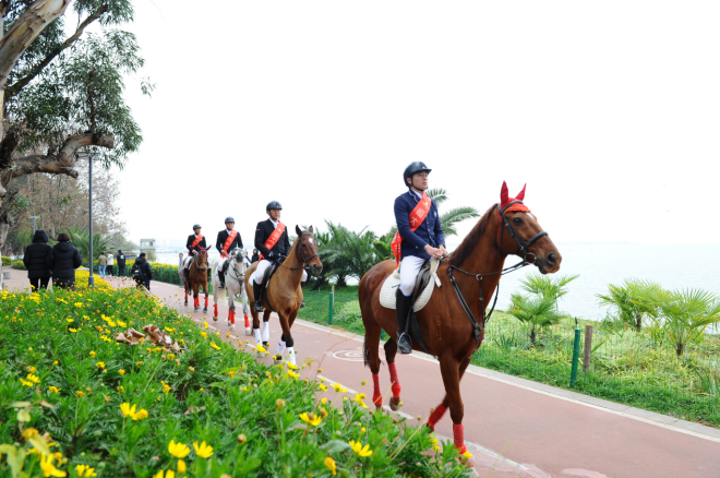 踏马滇池?百万名马乘骑等你来体验——九房网 踏马滇池?百万名马乘骑等你来体验——九房网