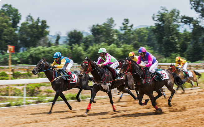 踏马滇池?百万名马乘骑等你来体验——九房网 踏马滇池?百万名马乘骑等你来体验——九房网