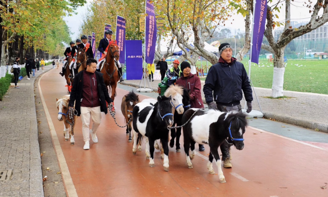 踏马滇池?百万名马乘骑等你来体验——九房网 踏马滇池?百万名马乘骑等你来体验——九房网