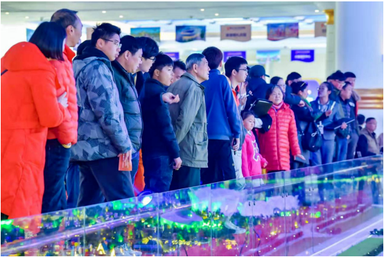 火爆!24h不打烊?顶级文旅IP引爆昆明——九房网