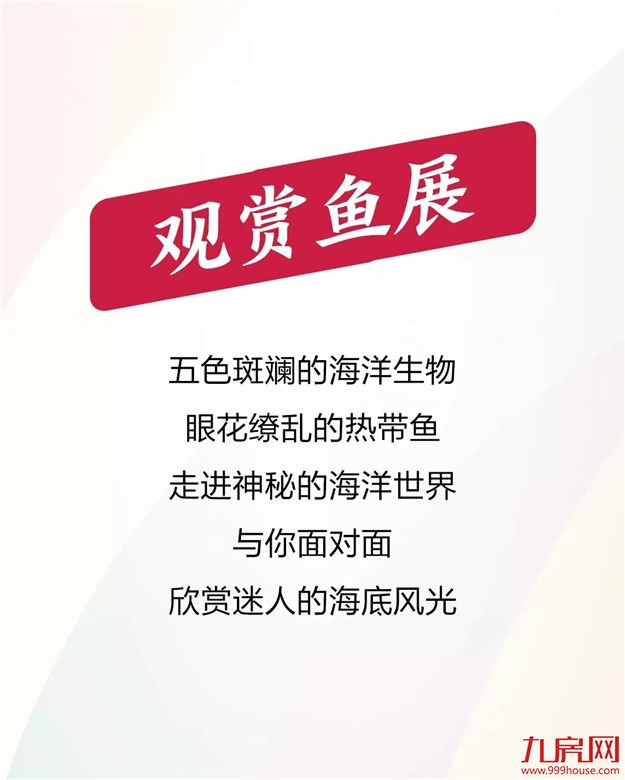 金丘紫金城：国际海洋海狮公益表演巡回展震撼来袭！——九房网