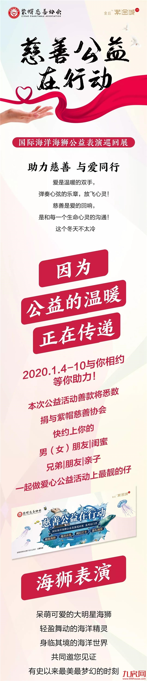 金丘紫金城：国际海洋海狮公益表演巡回展震撼来袭！——九房网