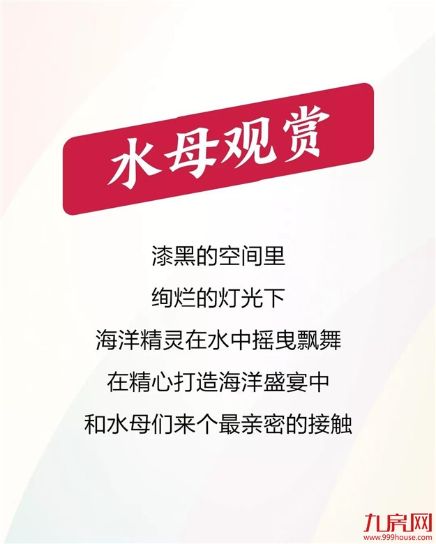 金丘紫金城：国际海洋海狮公益表演巡回展震撼来袭！——九房网
