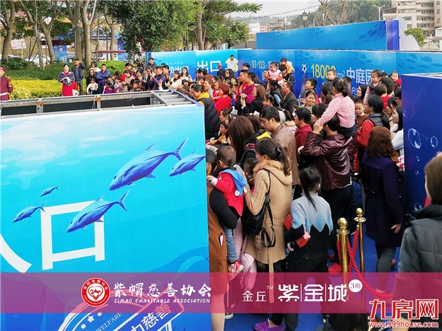 晋江紫帽：“慈善公益在行动”国际海洋海狮公益巡回展泉州站正式启幕——九房网
