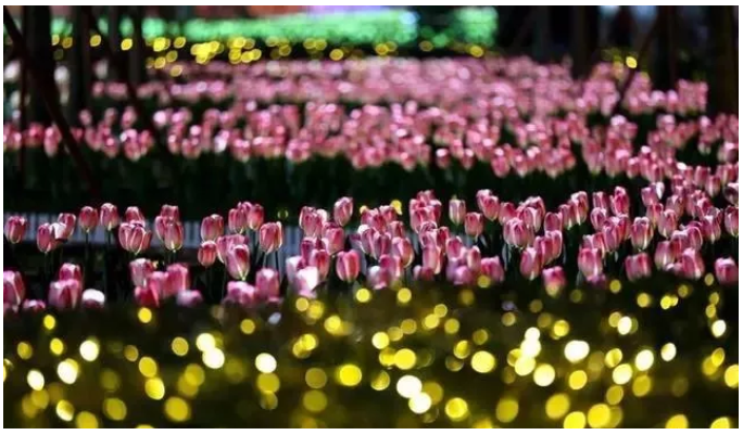 超2000人热捧 引爆南安丨雍锦和府东方美学示范区盛放,惊艳全城!——九房网 超2000人热捧 引爆南安丨雍锦和府东方美学示范区盛放,惊艳全城!——九房网