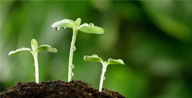 石狮金辉城年中成绩单|乘风破浪 砥砺前行——九房网 石狮金辉城年中成绩单|乘风破浪 砥砺前行——九房网