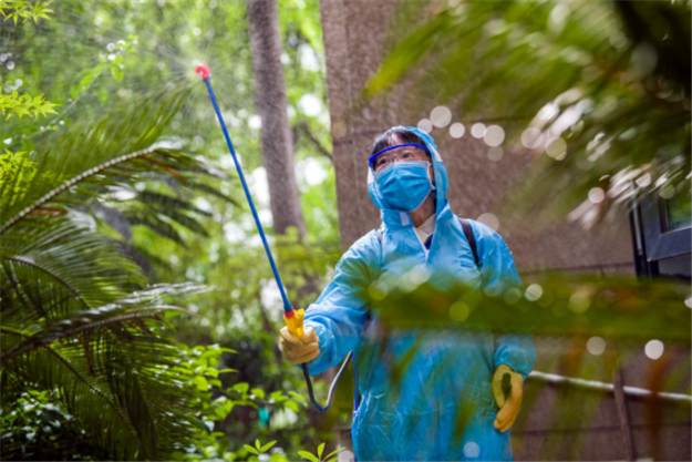 27年洋房修为,有种经典叫龙湖洋房——九房网 27年洋房修为,有种经典叫龙湖洋房——九房网