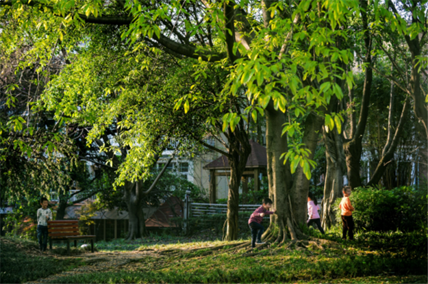 27年洋房修为,有种经典叫龙湖洋房——九房网 27年洋房修为,有种经典叫龙湖洋房——九房网
