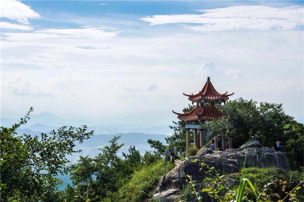 两开两罄 | 蓝光万顺·雍锦源6#加推告罄,流量红盘,再续奇绩——九房网 两开两罄 | 蓝光万顺·雍锦源6#加推告罄,流量红盘,再续奇绩——九房网