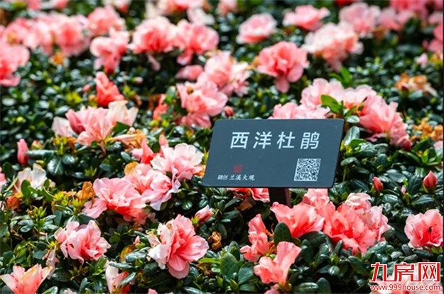 眼见为实，鉴证融创福建首个归心社区交付——九房网