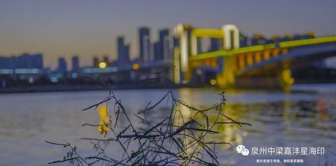 提前剧透 | 今年最值得关注的黑马,这一次别再错过——九房网 提前剧透 | 今年最值得关注的黑马,这一次别再错过——九房网