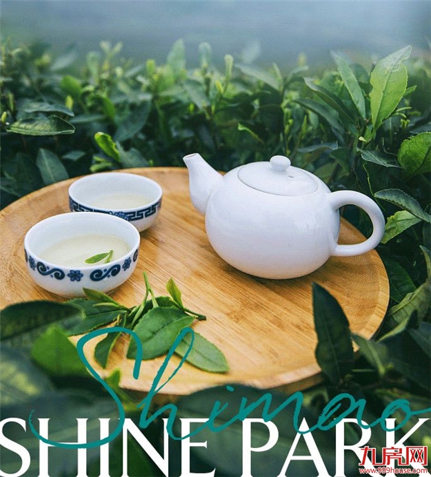 【茶界头条】石狮首届安溪铁观音茶王赛即将开赛!众多好礼待你收入囊中!——九房网 【茶界头条】石狮首届安溪铁观音茶王赛即将开赛!众多好礼待你收入囊中!——九房网