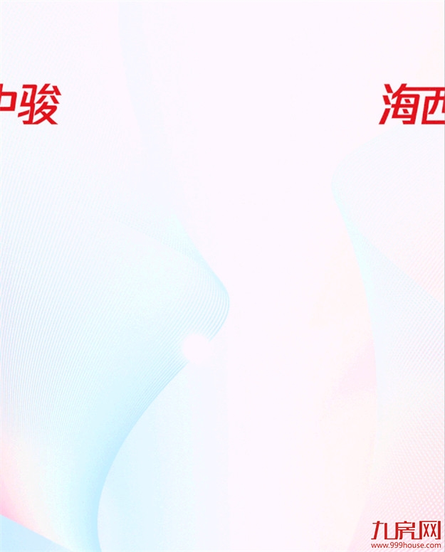 2020新绩程|突破生长，300亿中骏海西激活全新想象——九房网