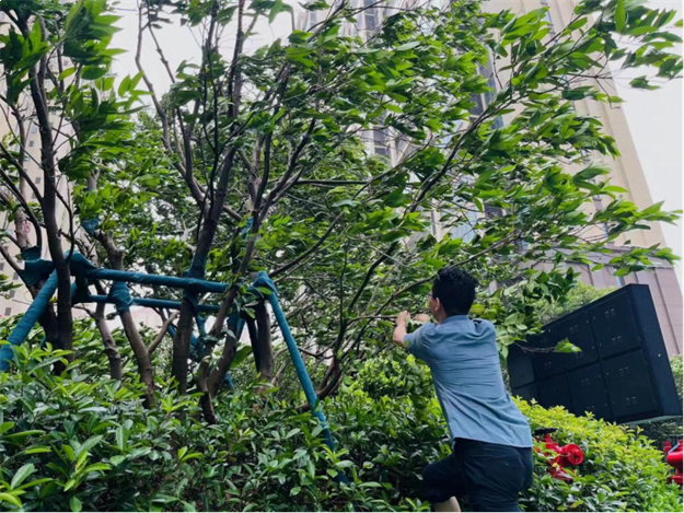 逆风而行|福建史上第二强台风“杜苏芮”来袭,物业人在行动——九房网 逆风而行|福建史上第二强台风“杜苏芮”来袭,物业人在行动——九房网