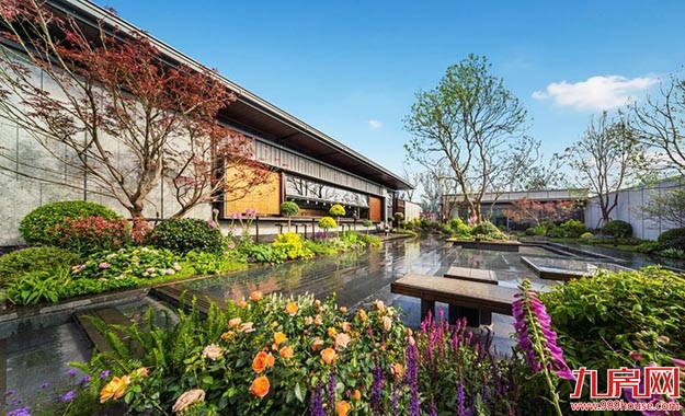 202403186845179825.jpg 9539f0ca18be4feb353b41114f755a63.jpg